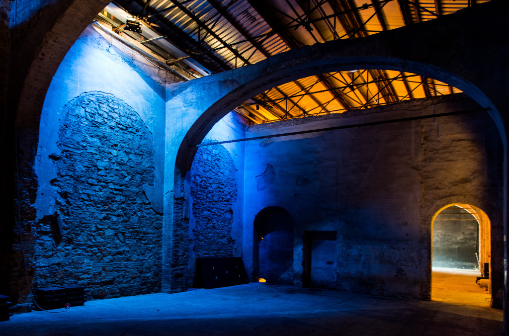 Stazione Leopolda_laterale